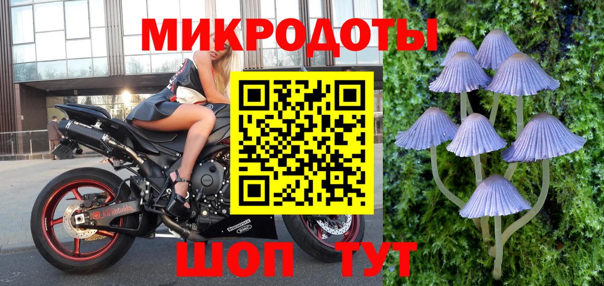 Галлюциногенные грибы прущие грибы Новодвинск