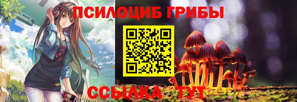 Новодвинск  Псилоцибиновые грибы ЛСД  Псилоцибиновые грибы прущие грибы  Вход с VPN 