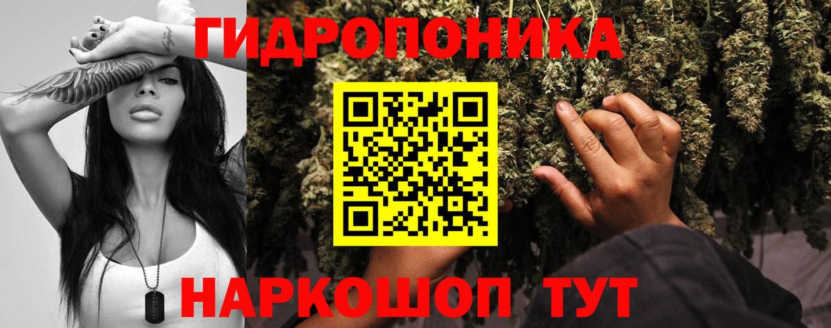 Канабис White Widow Новодвинск